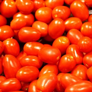 Semilla de tomate Roma